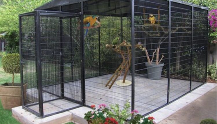 Aviary For Your Home
